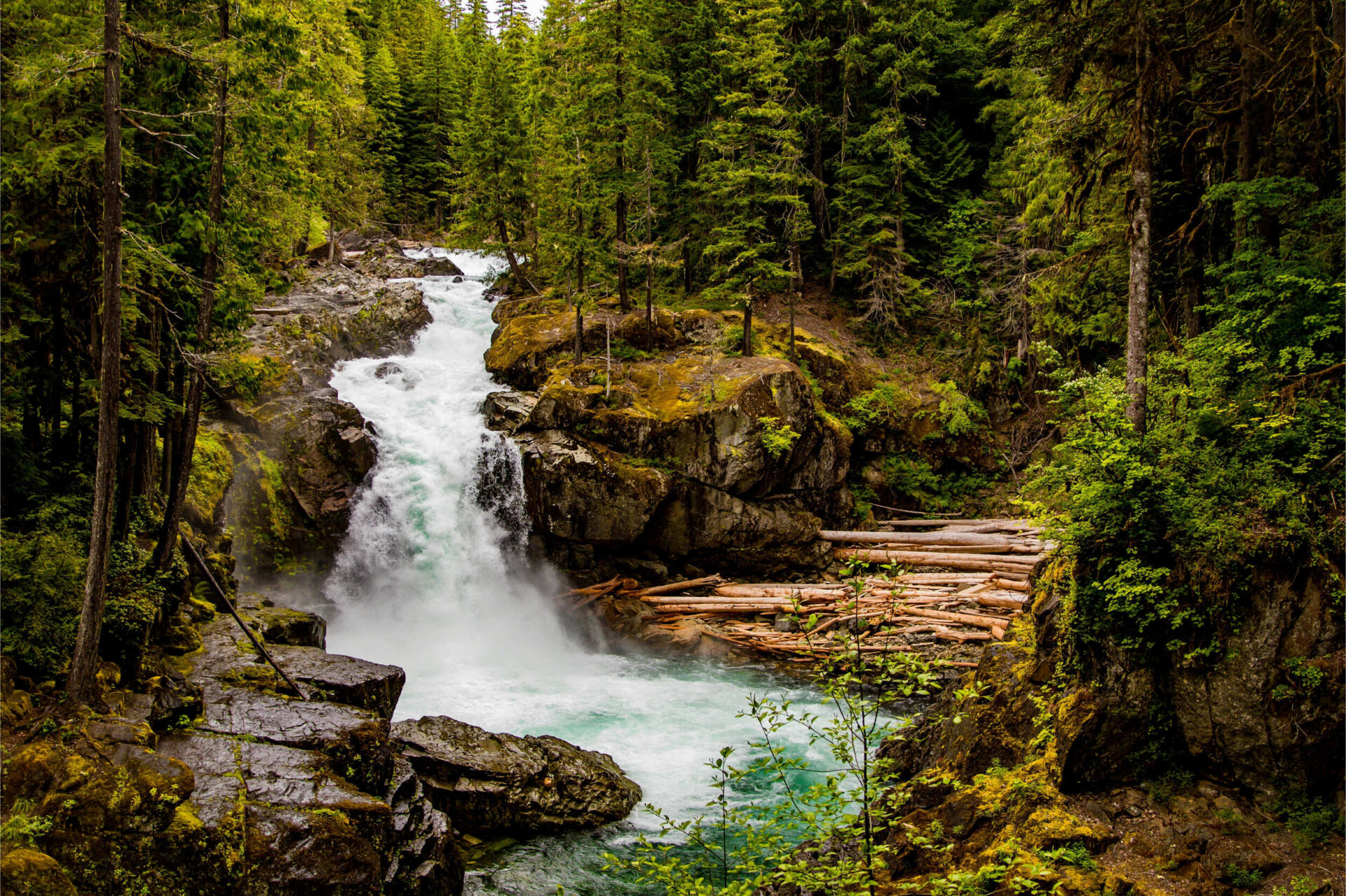 nature-7